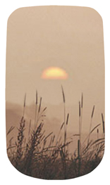 DAROYAL 334 BZ Harvest Sunrise Bronze